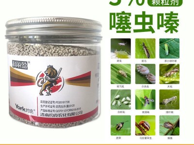 科丽盈蔬菜花卉蚜虫小黑飞杀虫剂噻虫嗪小白药升级版颗粒剂杀虫剂图4