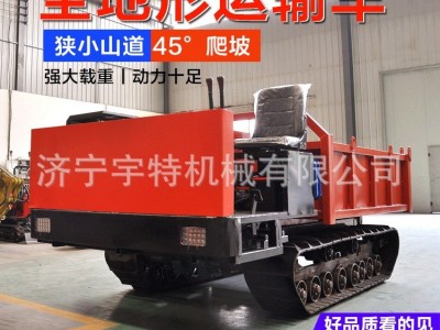 小型履带运输车 农用全地形爬山虎爬坡王 山地果园自卸式搬运车图2
