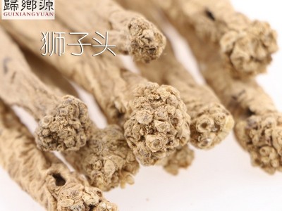 党参干货中条不硫熏500g 甘肃特产岷县中药材产地货源批发图2