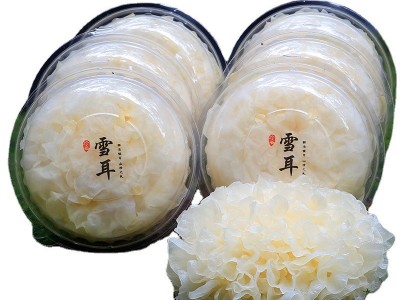 6朵盒装福建古田新鲜银耳鲜白木耳雪耳木耳鲜活非干银耳一件代发图4