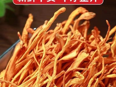 大量批发新鲜虫草花干货批发煲汤材料一件代发500g金草花袋装图3