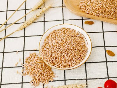 理想 澳洲燕麦脱壳燕麦米饭五谷杂粮 熟燕麦粒25kg/袋 厂家直销图4