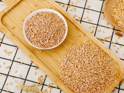 理想 澳洲燕麦脱壳燕麦米饭五谷杂粮 熟燕麦粒25kg/袋 厂家直销图5