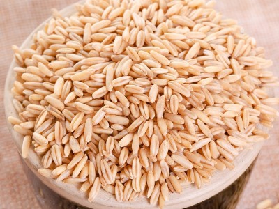 康希牌 燕麦米 燕麦仁 裸燕麦图4