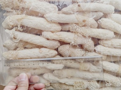 贵州红托竹荪干货2斤 织金竹荪菌菇干品 竹笙 菌菇食用农产品图5
