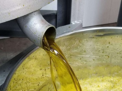 乌镇特产 农家菜籽油食用油农家油自榨压榨菜籽油 5L 装图4