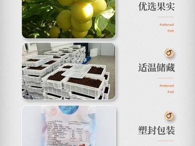 散装批发休闲零食酸甜情人梅蜜饯凉果水果脯梅子干开胃秘制相思梅图2