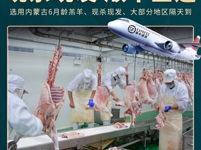 内蒙古羊腿新鲜羊腿礼盒整只熟食商用手把羊肉羊腿骨棒小腿冷冻品图2