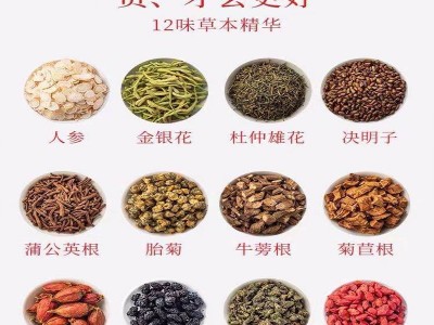 厂家批发汉方益甘茶菊花决明子牛蒡组合三角包茶 支持一件批发图3