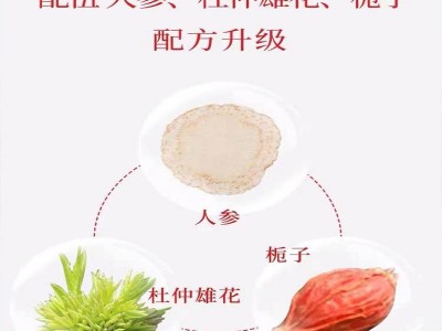 厂家批发汉方益甘茶菊花决明子牛蒡组合三角包茶 支持一件批发图4