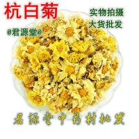 批发花草茶【杭白菊】