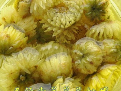 批发 散装花草茶【胎菊王 甘菊】图4
