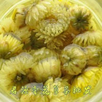 批发 散装花草茶【胎菊王 甘菊】