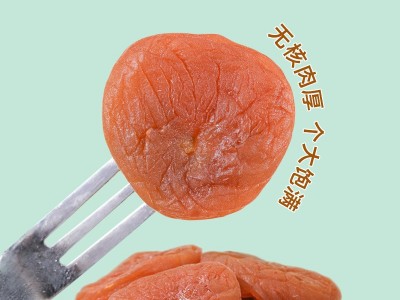 日式梅饼话梅肉250g无核陈皮梅饼蜂蜜味酸甜咸话梅干休闲零食蜜饯图3