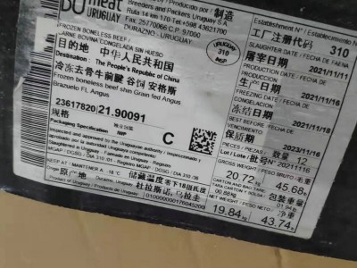 310牛前腱 新鲜冷冻牛腱肉 冷冻进口牛肉牛肉牛龟腱牛腱子肉图3