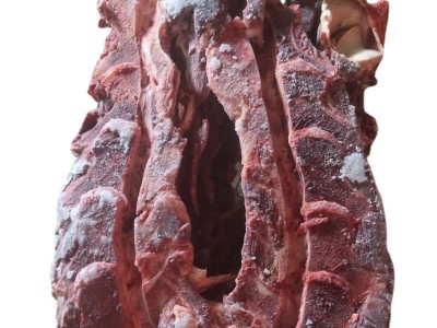原切牛脖骨带肉牛颈骨冷冻牛蝎子脊骨生鲜牛骨牛蝎子火锅餐饮食材图5