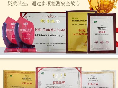雪花肥牛卷 肥牛砖火锅食材 雪花肥牛家用 烧烤牛肉卷肥牛片批发图3