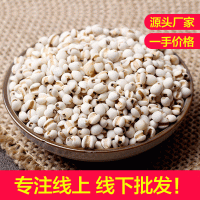 厂家生产颗粒饱满自然清香薏米仁薏仁米五谷杂粮粗粮薏苡仁薏仁米