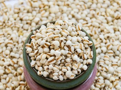 厂家生产颗粒饱满自然清香薏米仁薏仁米五谷杂粮粗粮薏苡仁薏仁米图3
