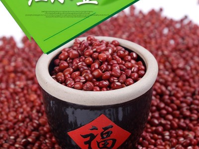 厂家批发天津珍珠红小豆 红豆出沙软糯红豆馅料 五谷杂粮图2