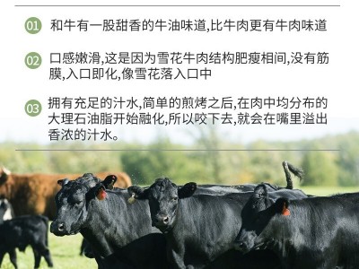 澳洲安格斯和牛M5上脑边进口谷饲雪花牛肉原切免洗冷冻牛排礼品装图2