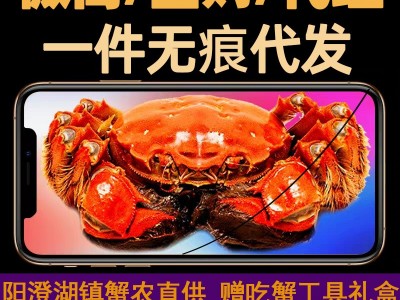 团购现货大闸蟹阳澄湖镇鲜活全母蟹公母蟹批发活体代发顺丰礼盒装图5