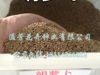 老品种红胡萝卜种子家庭菜园盆栽种蔬菜瓜果籽红萝卜甘荀四季可播图4