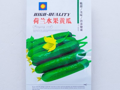 无刺水果黄瓜种子 荷兰水果黄瓜种籽 小黄瓜乳瓜子种蔬菜种孑图2