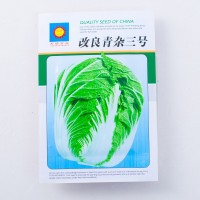 改良青杂三号大白菜种子 优质秋播蔬菜种子 结球性强中熟抗病好种