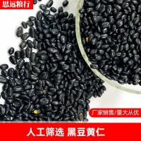 黑豆黄仁 磨粉黑豆 黄仁黑豆 东北黑豆