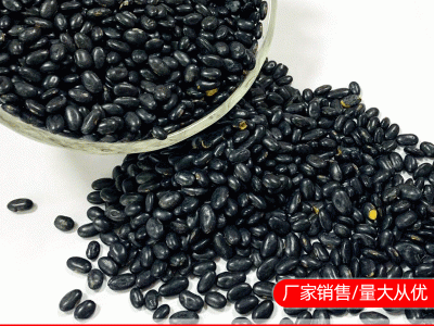 黑豆黄仁 磨粉黑豆 黄仁黑豆 东北黑豆图3