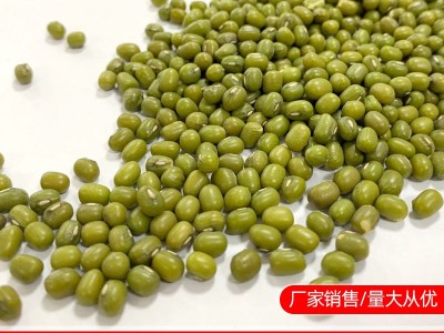 东北绿豆 磨粉绿豆 油绿豆 现货批发图3