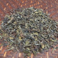 2011白牡丹 福鼎磻溪高山白茶 出口品质 煮泡皆宜