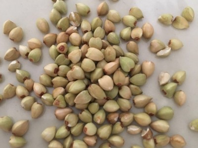 厂家直发东北粮食荞麦农家自产五谷杂粮批发散装粗粮荞麦米图2