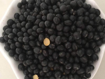 厂家直发东北粮食小黑豆农家自产五谷杂粮批发散装粗粮黄心黑豆图2