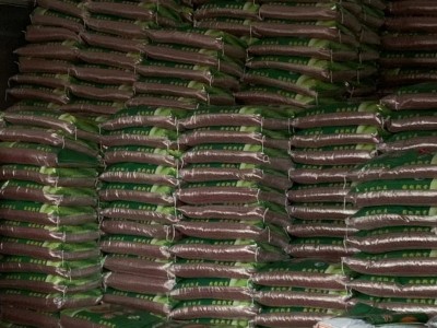 厂家直发东北粮食小黑豆农家自产五谷杂粮批发散装粗粮黄心黑豆图3