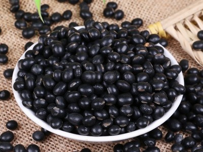 厂家直发东北粮食小黑豆农家自产五谷杂粮批发散装粗粮黄心黑豆图4
