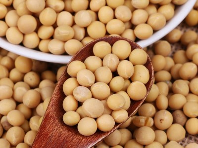 厂家直发东北粮食大豆农家自产五谷杂粮批发当年散装粗粮商品黄豆图4