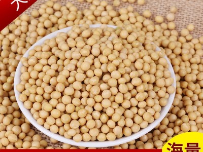 厂家直发东北粮食大豆农家自产五谷杂粮批发当年散装粗粮商品黄豆图5