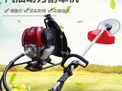 操作简单背负式除草松土机 四冲程割草机 汽油果园开荒打草机图5