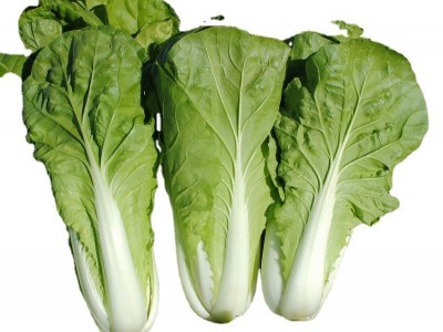 奶油小白菜种子四季早熟阳台庭院家庭易种植种菜籽种易种蔬菜籽图5