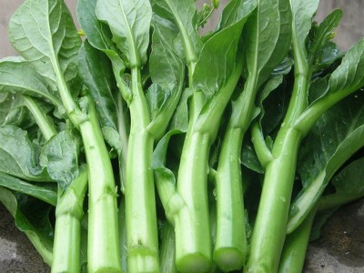 四季菜心四九菜心 菜芯 菜薹 蔬菜种子夏季播种 四季种盆栽菜苔图1