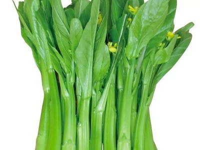 四季菜心四九菜心 菜芯 菜薹 蔬菜种子夏季播种 四季种盆栽菜苔图5