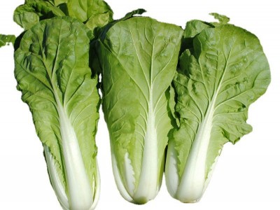四季速生快菜种子庭院蔬菜阳台种菜盆栽青菜种植家庭易种小白菜籽图5