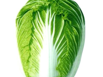 大白菜种子四季播庭院阳台蔬菜娃娃菜青菜抗热耐寒秋季易种生长快图5