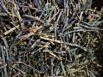 寿宁南阳高山红茶梗 大批量红茶头 大批量红茶梗厂家批发图2