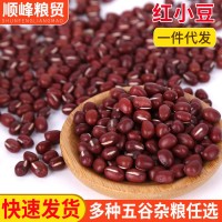 现货批发红小豆 东北大粒红豆沙原料 五谷杂粮熬粥原料大红豆