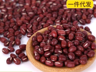 现货批发红小豆 东北大粒红豆沙原料 五谷杂粮熬粥原料大红豆图5