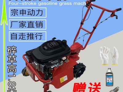 斯特克汽油草坪机自走式果园农用开荒神器杂草割草除草家用碎草机图2