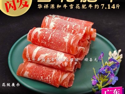 【现货】雪花肥牛 7.14斤和牛雪花牛原切肉砖肥牛片卷 冷冻牛肉图3